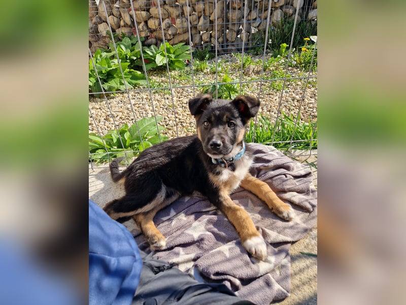 Aufgeschlossene Ruby sucht ihre Familie