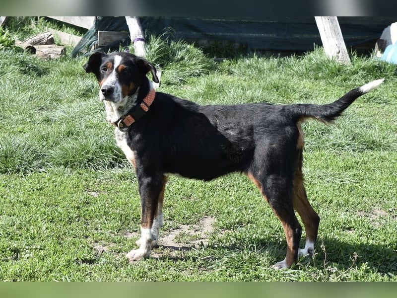 Liebevolle Maila sucht ihre Familie