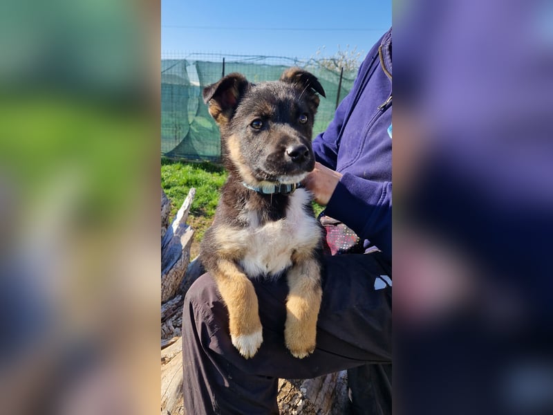 Aufgeschlossene Ruby sucht ihre Familie