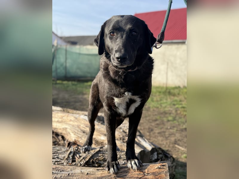 Aufgeweckte Ellie sucht ihre Familie