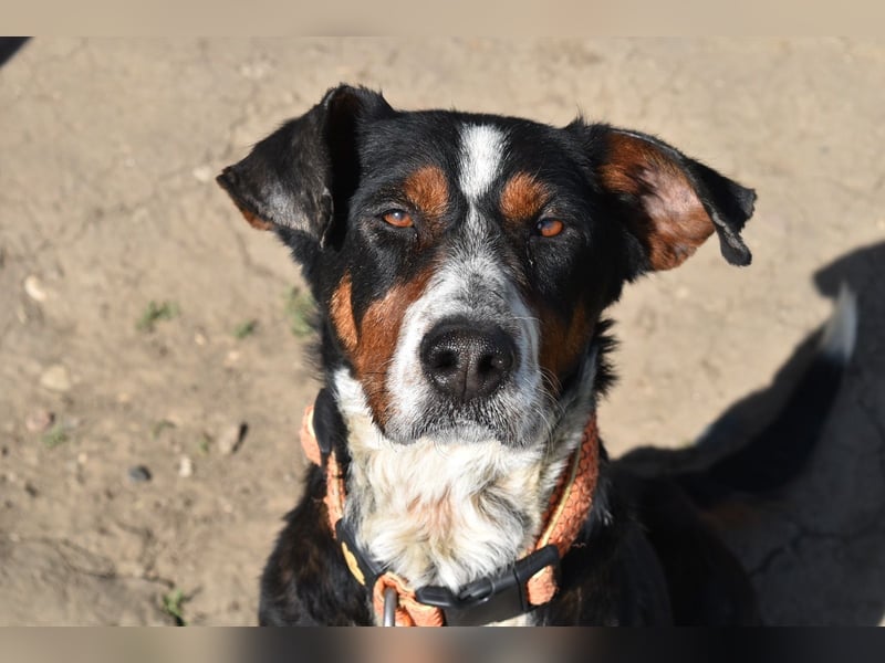 Liebevolle Maila sucht ihre Familie
