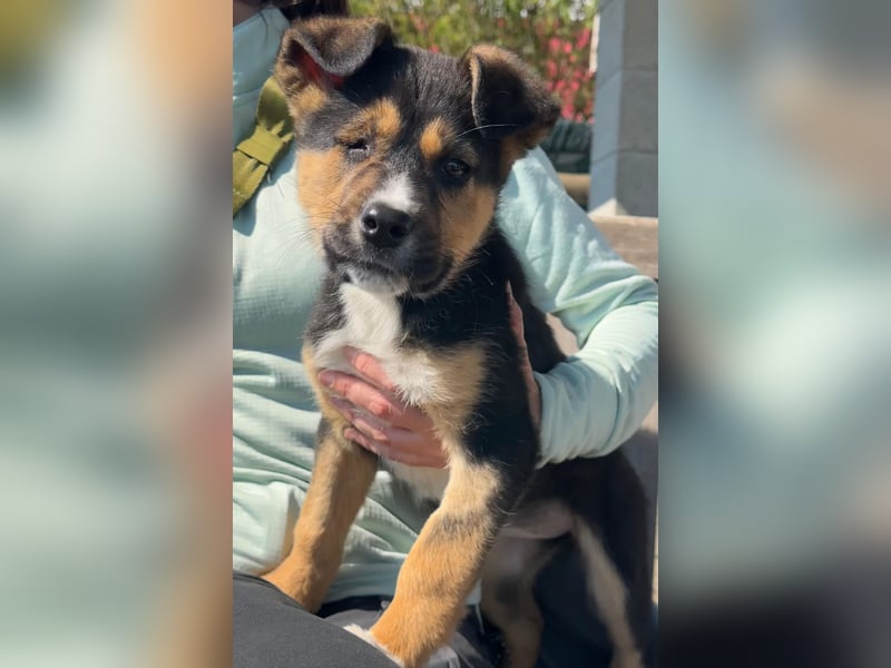 Süße Jördis sucht ihr Familie