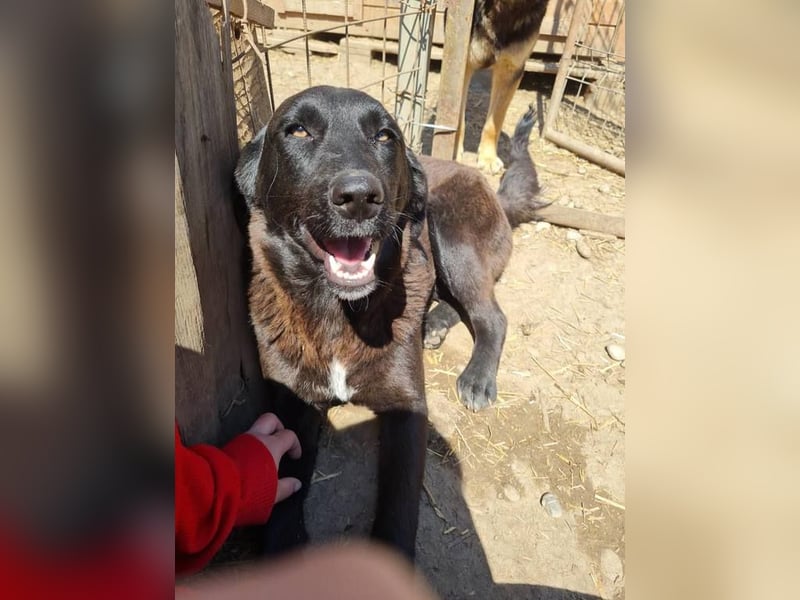 Ina möchte endlich gesehen werden