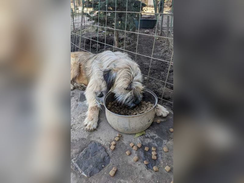 Elio möchte auch endlich eine Chance