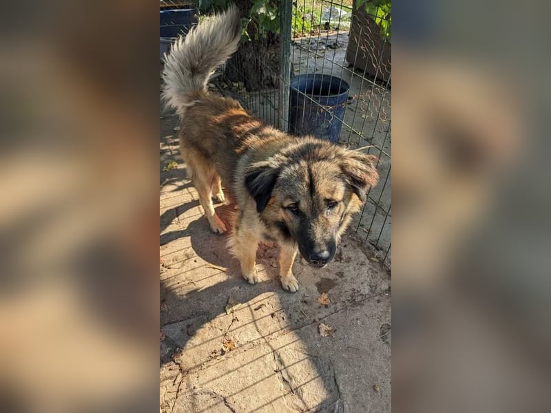 Ayo möchte endlich ankommen