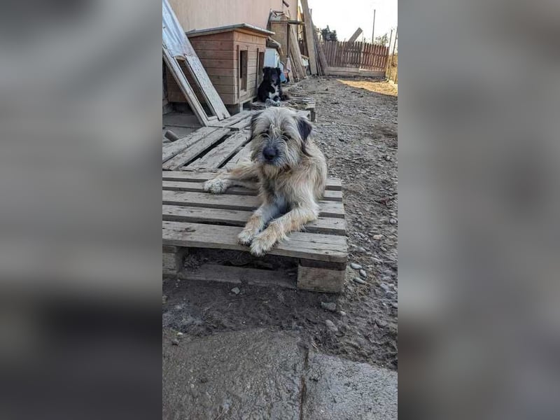 Elio möchte auch endlich eine Chance