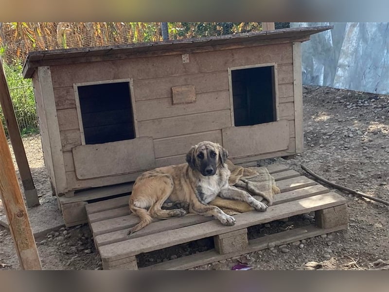 Mella wartet schon lange auf ihre Herzensmenschen, kann sie dein Herz erobern