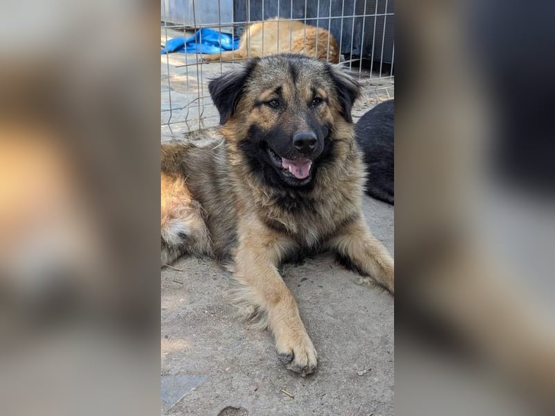 Ayo möchte endlich ankommen