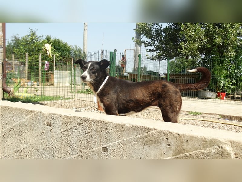 Herzensgute Brenda sucht ihre Familie