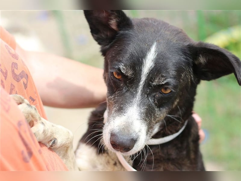 Herzensgute Brenda sucht ihre Familie