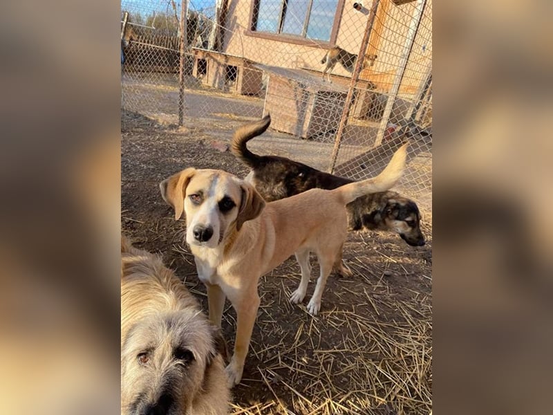 Pedro sucht seine Menschen