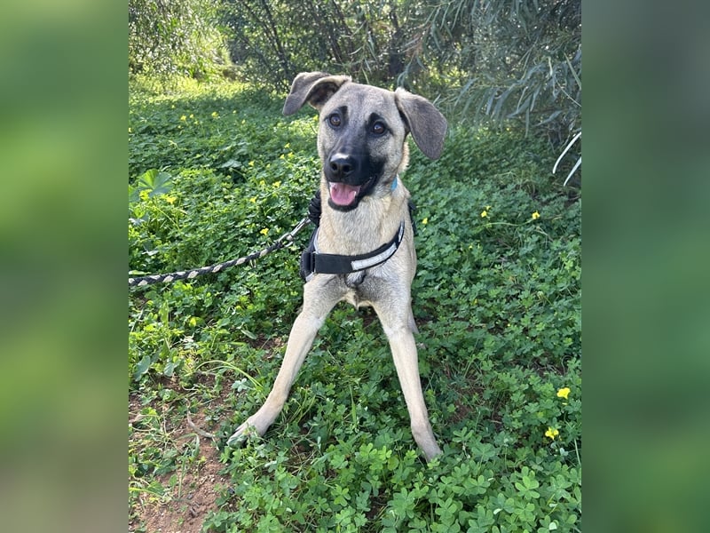 Erobert Amira dein Herz? <3