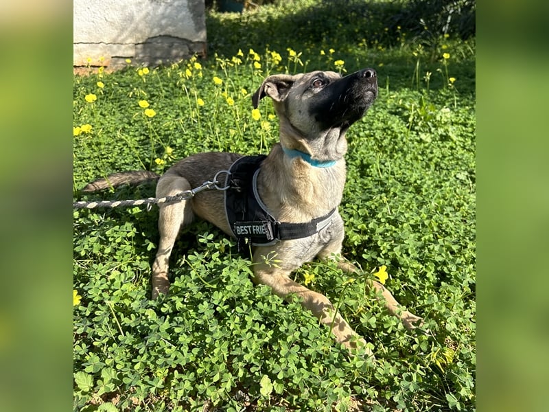 Erobert Amira dein Herz? <3