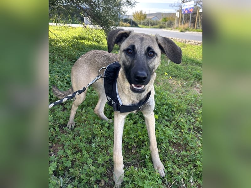 Erobert Amira dein Herz? <3