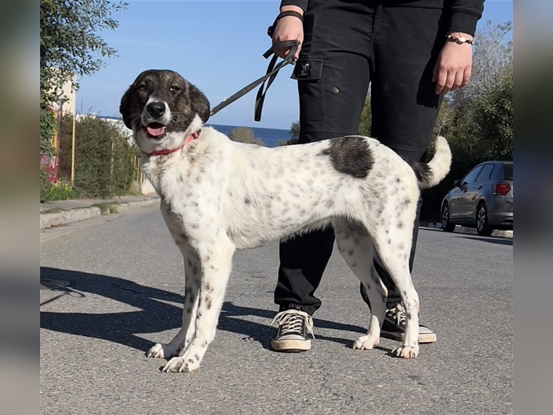 wunderschöne Nela sucht Herzensmensch
