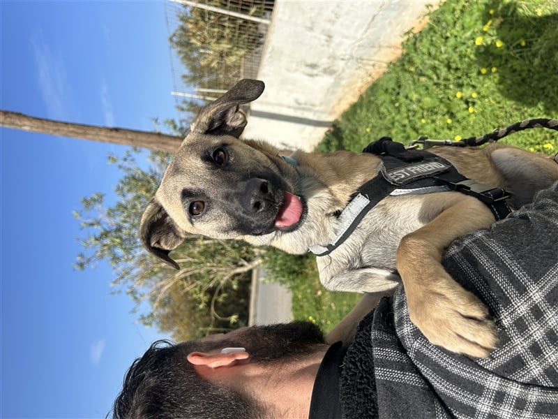 Erobert Amira dein Herz? <3