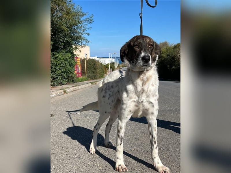 wunderschöne Nela sucht Herzensmensch