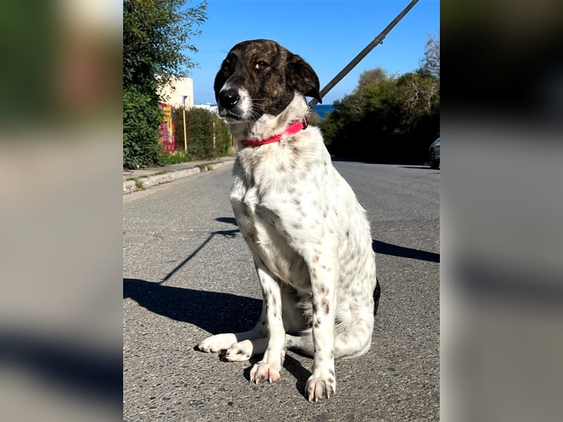 wunderschöne Nela sucht Herzensmensch