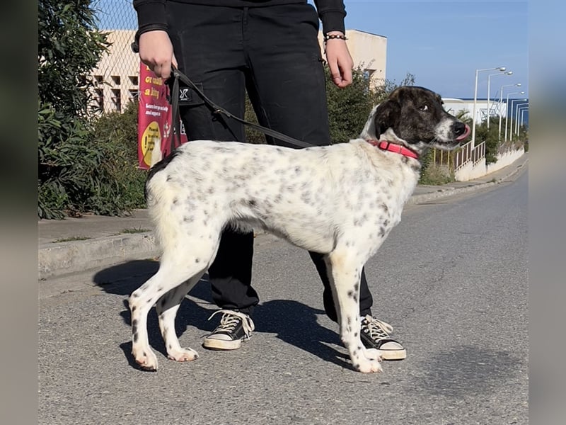 wunderschöne Nela sucht Herzensmensch