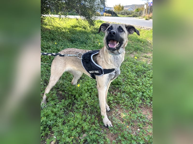 Erobert Amira dein Herz? <3