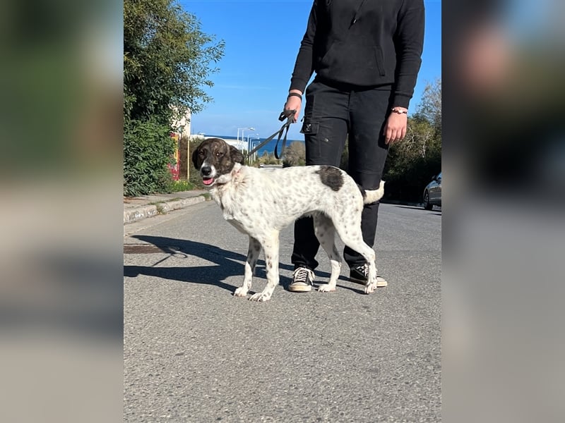 wunderschöne Nela sucht Herzensmensch