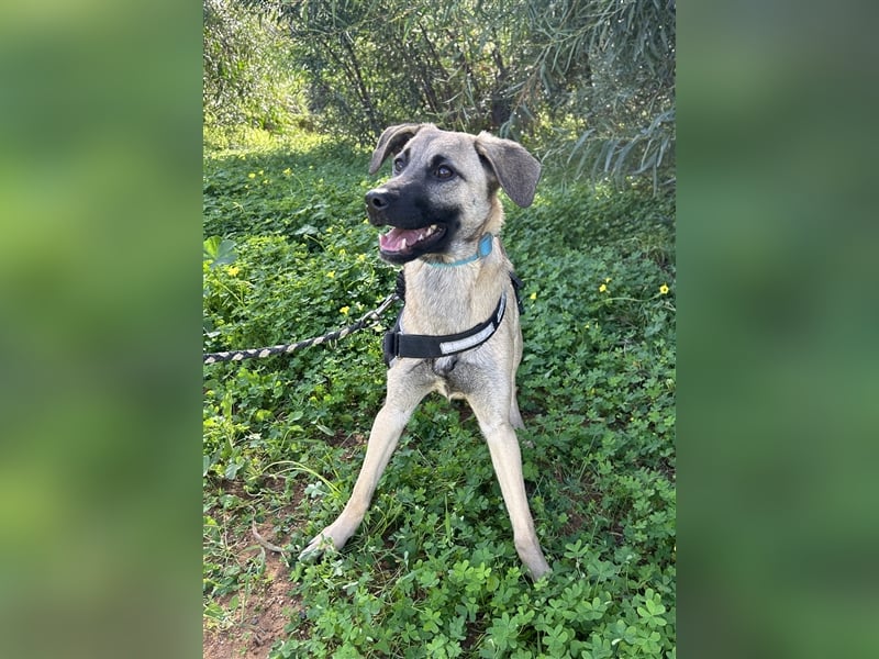 Erobert Amira dein Herz? <3