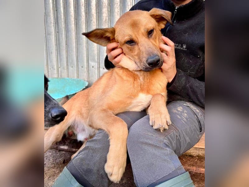 Alun – offen und verspielt