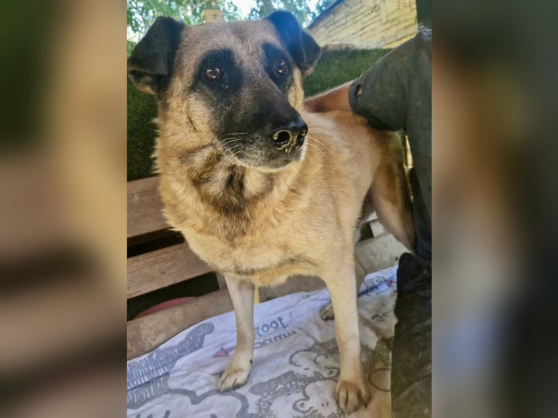 Timon, sein Herz braucht Zeit
