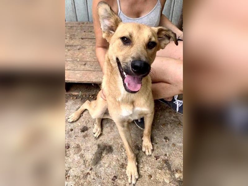 Alun – offen und verspielt