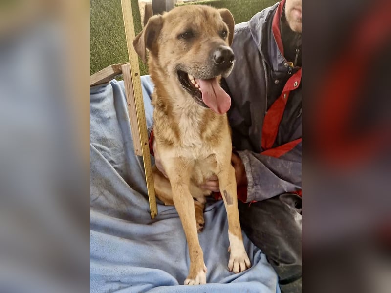 Super freundlicher Bolek