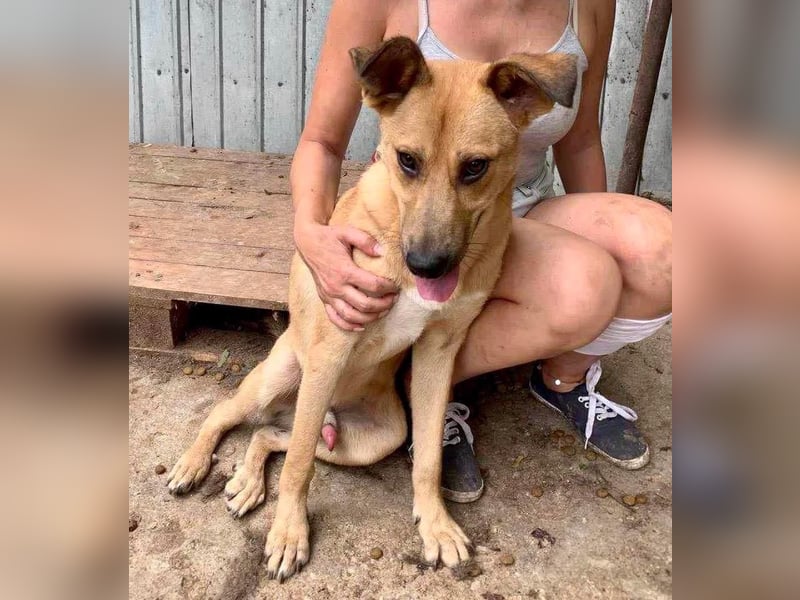 Alun – offen und verspielt