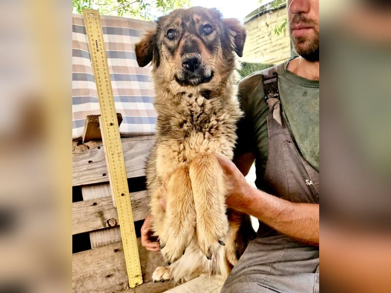 Felina, sie wartet auf ihr Happy End...