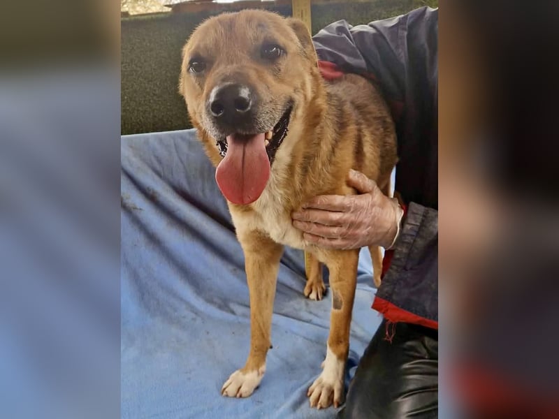 Super freundlicher Bolek