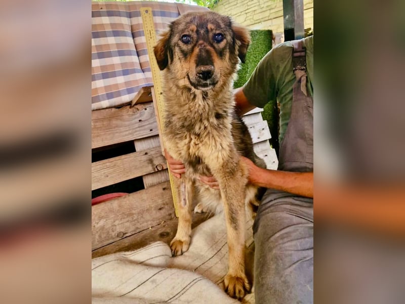 Felina, sie wartet auf ihr Happy End...