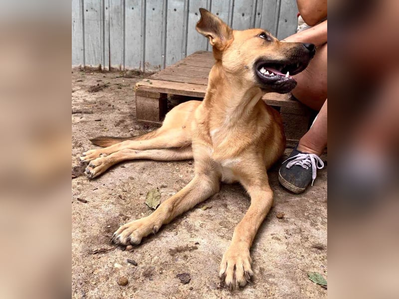 Alun – offen und verspielt