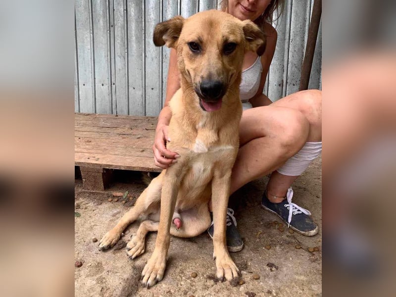 Alun – offen und verspielt