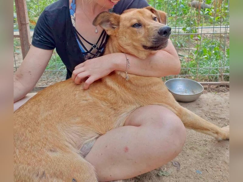 Alun – offen und verspielt