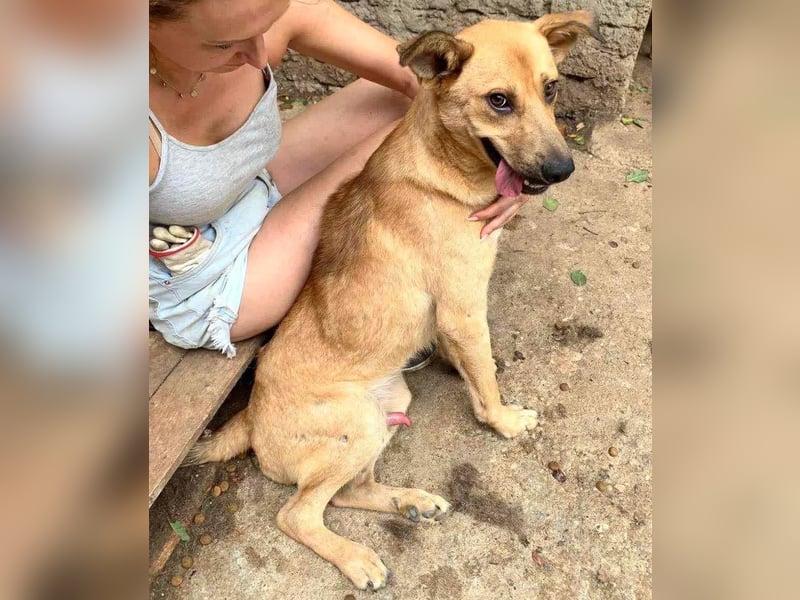 Alun – offen und verspielt