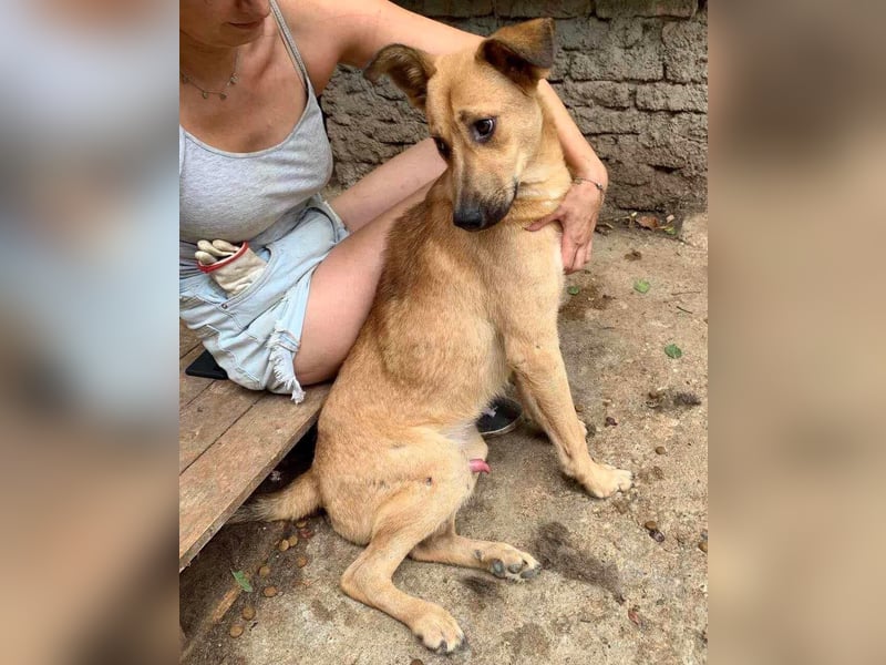 Alun – offen und verspielt