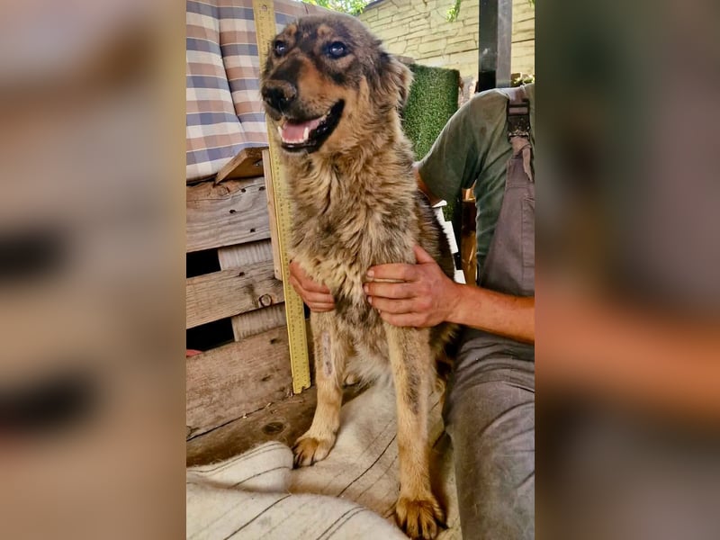 Felina, sie wartet auf ihr Happy End...