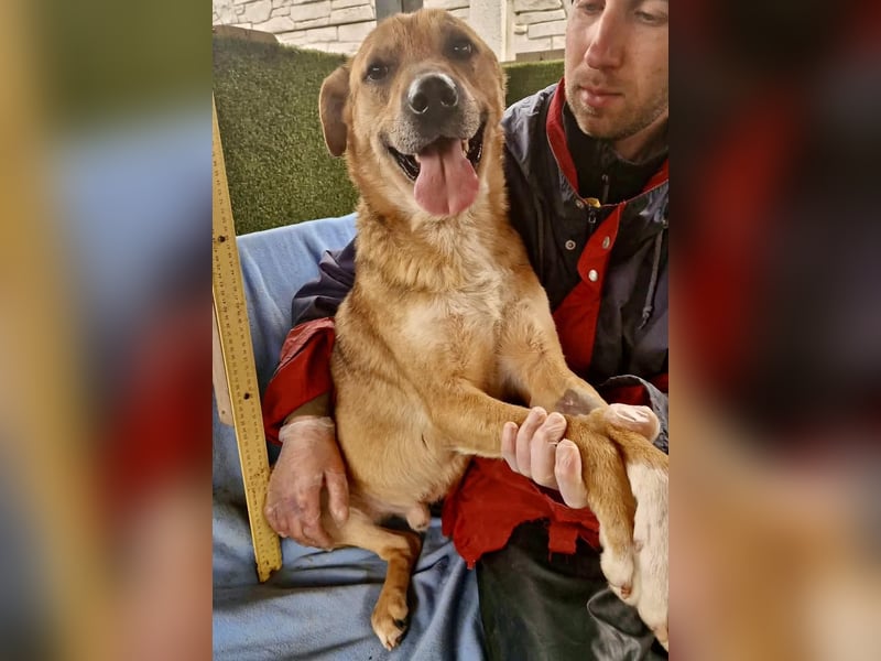 Super freundlicher Bolek