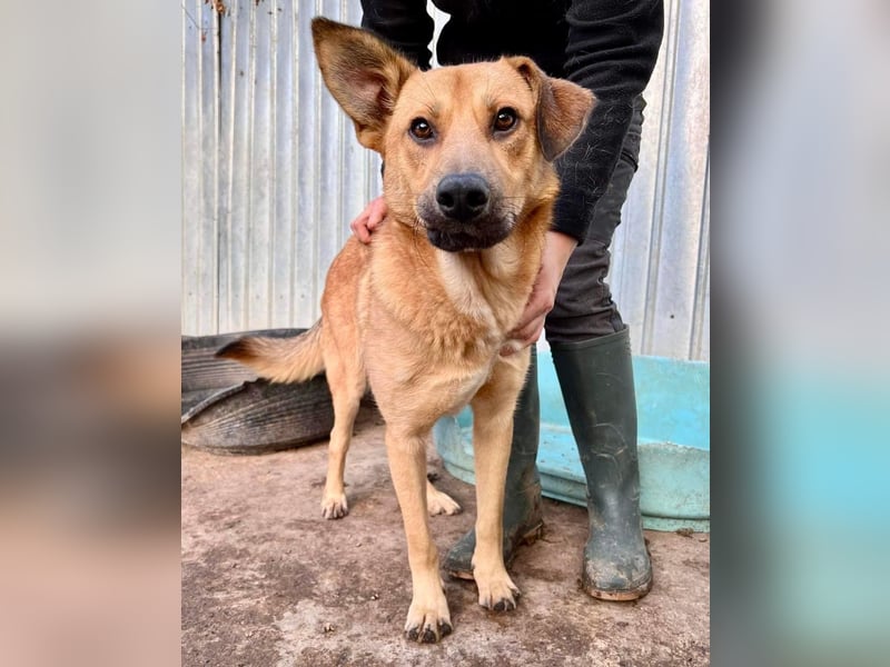 Alun – offen und verspielt