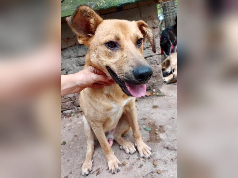 Alun – offen und verspielt