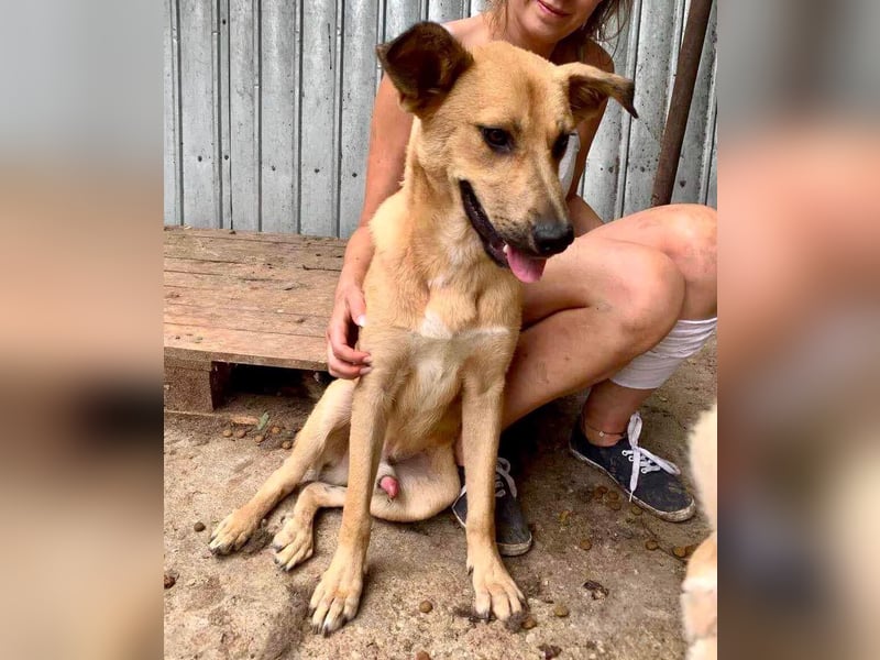 Alun – offen und verspielt