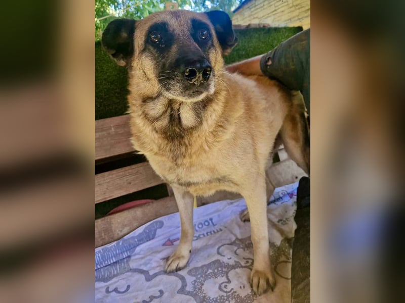 Timon, sein Herz braucht Zeit