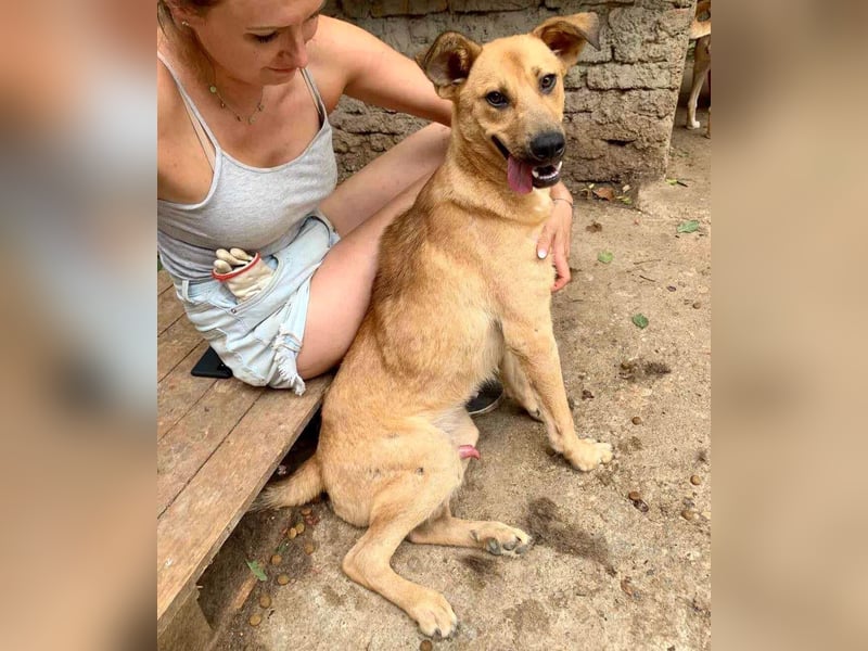 Alun – offen und verspielt