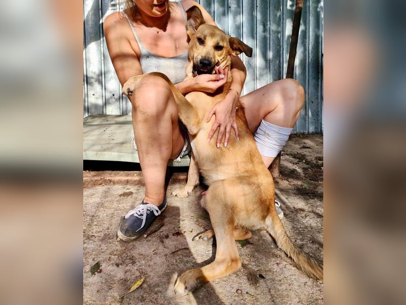 Alun – offen und verspielt