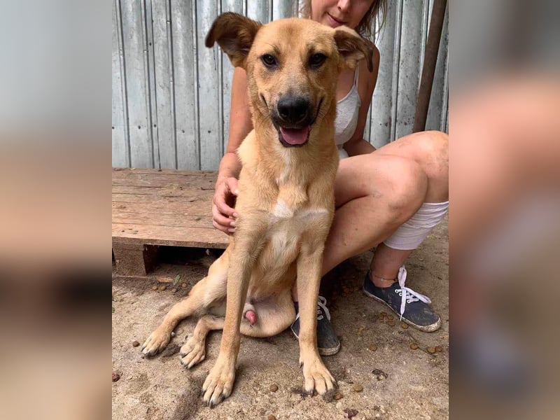 Alun – offen und verspielt