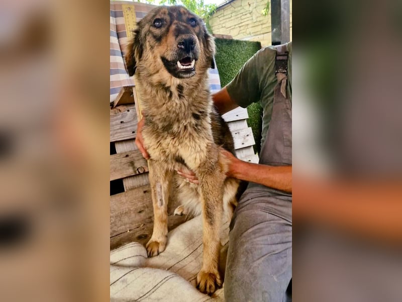 Felina, sie wartet auf ihr Happy End...