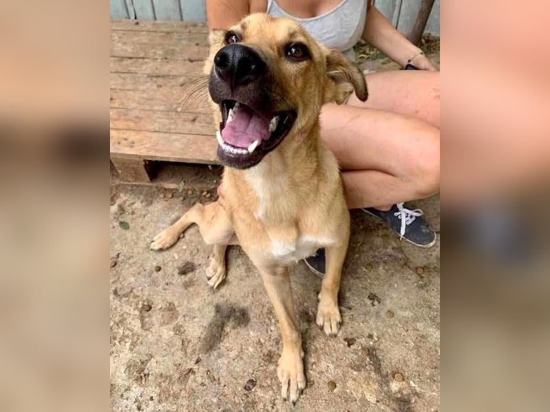 Alun – offen und verspielt